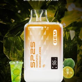 SP2S